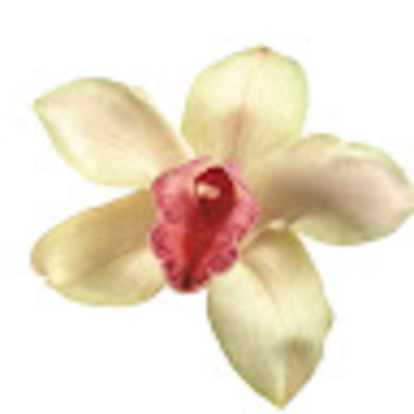 Meet your Posher, Paris - Picture 1 of 1